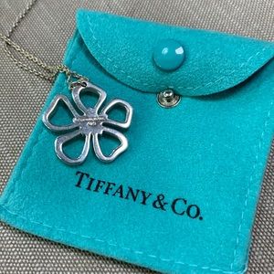 Authentic Tiffany & Co sterling silver pendant with chain.